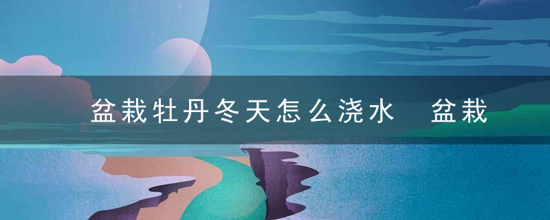 盆栽牡丹冬天怎么浇水 盆栽牡丹冬天如何浇水